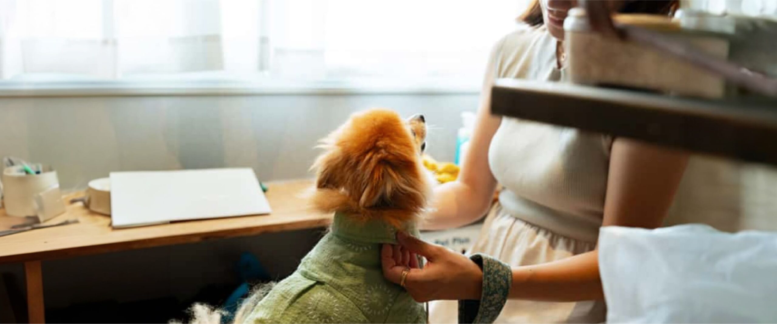 「この家に帰ってくるだけで幸せ」 <br>リノベ女子会から始まった、わたしの住まいづくり