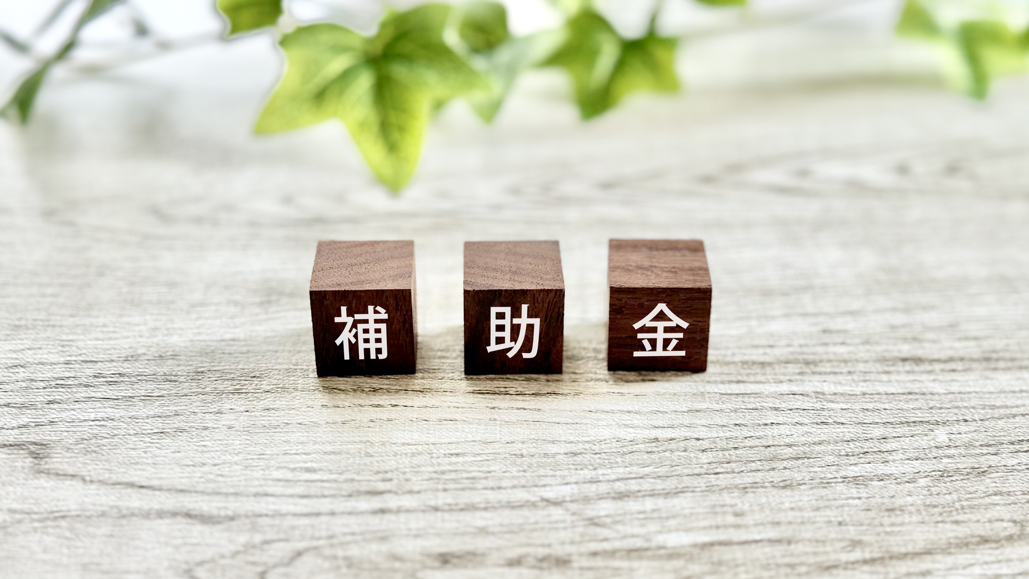 マンションリフォームで活用できる国の補助金一覧