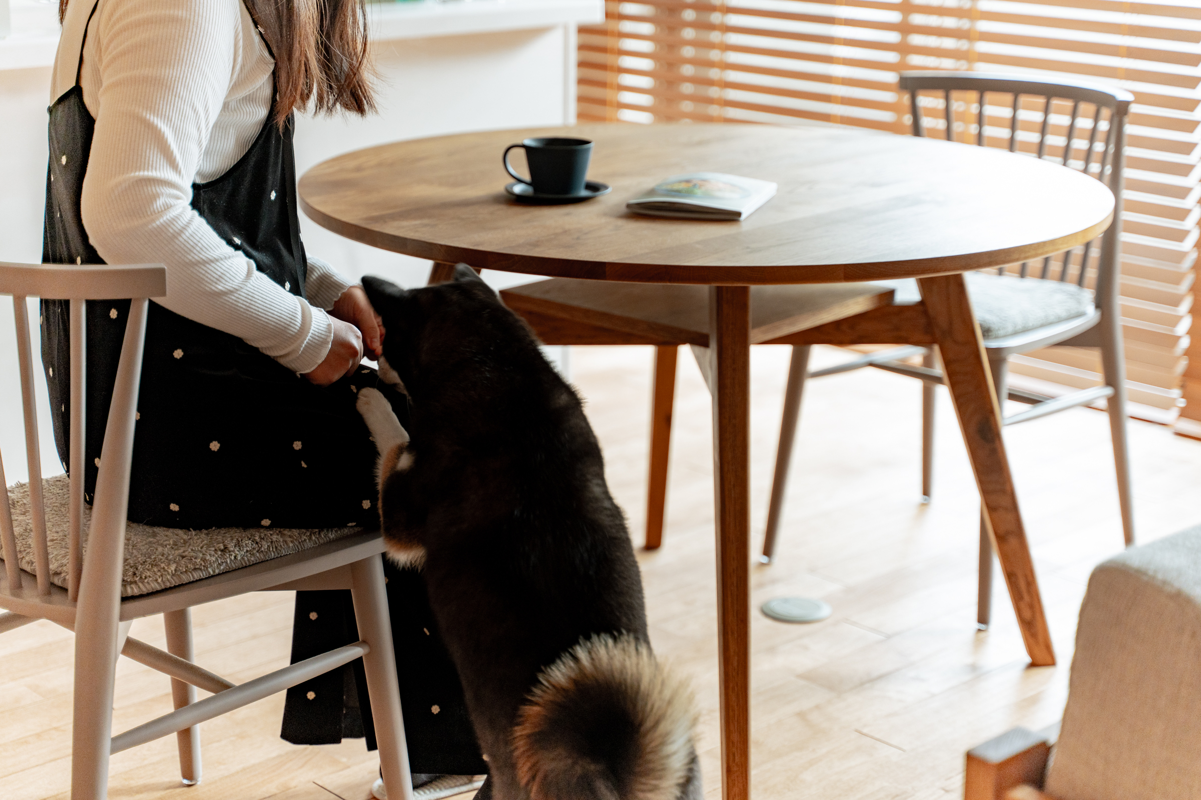愛犬の散歩コースを変えたくない